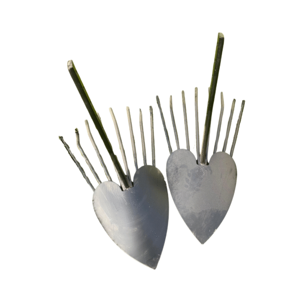 Potato-scraper-for-harvesting